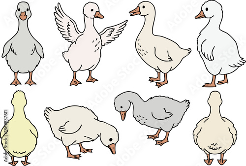 Cute Goose Character Collection, Vector Set of Farm Birds in Different Poses