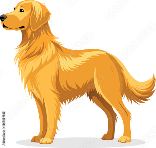 Golden Dog Cartoon Vector Illustration Standing Pose Isolated on White Background