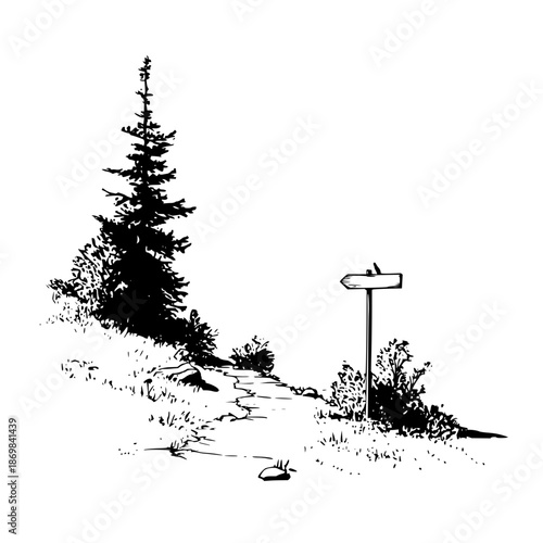 Illustration of a path leading uphill with a tall pine tree and a signpost indicating direction on white