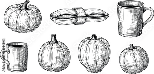Vintage Pumpkin and Mug Engraving Illustration Collection Set