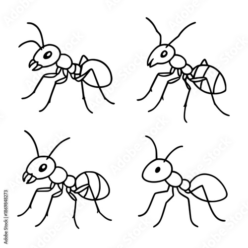 4 ant illustration icons in outline style, transparent background