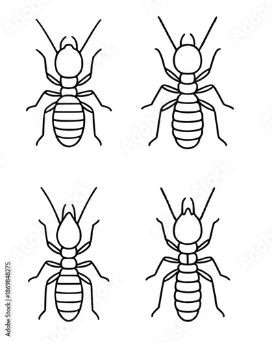 4 termite minimalist icons in outline style, transparent background