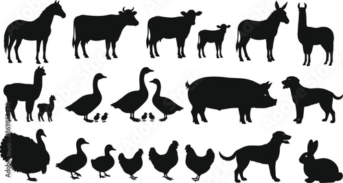 Farm animal silhouettes collection including horse cow pig dog rabbit poultry livestock isolated black vector illustration set