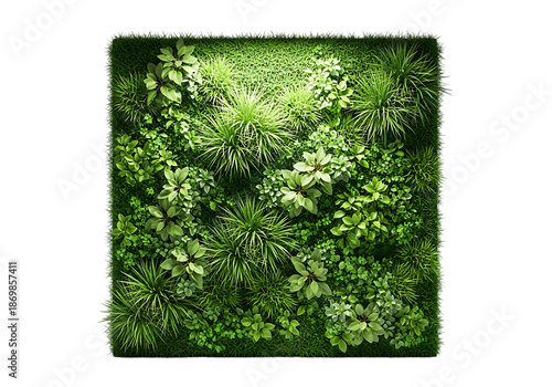 Lush green vertical garden