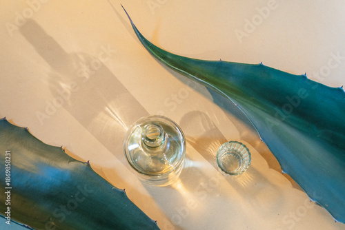 Mezcal artisanal bottle with agave leaves from puebla, mexico