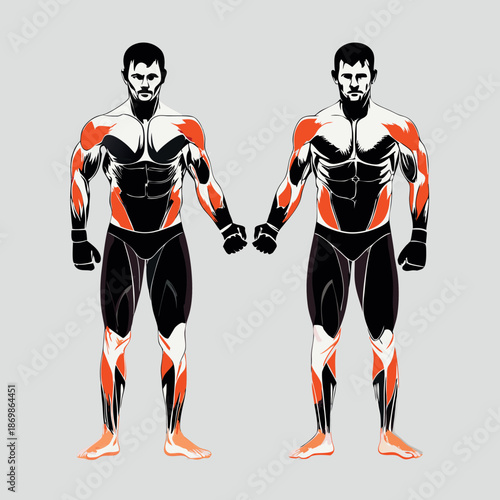 Kickboxing anatomy two men. 