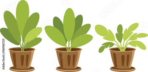 Set of green houseplant vector illustrations, indoor potted plants in brown ceramic pots for home and office decor
