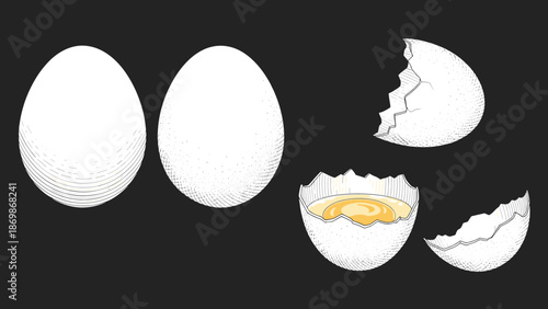 Illustration of whole white eggs and cracked eggshells revealing a raw yolk on a dark contrasting background.