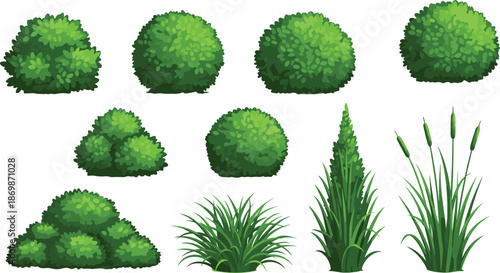 Set of green garden bushes, round shrubs, grass tufts, and park plants, isolated on white background for landscape design architecture.