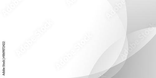 Abstract white and gray curve overlaps background. texture white pattern. vector illustration