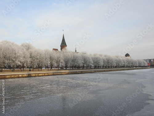 Kaliningrad cathedral in the snow