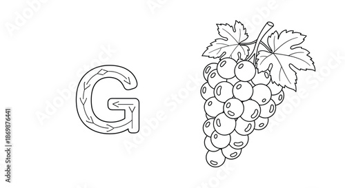 Educational alphabet coloring page for the letter g featuring a large capital letter and a detailed bunch of grapes with leaves for kids learning.