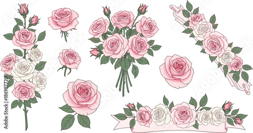 Elegant pink rose floral arrangements and bouquets set with leaves and ribbons in delicate hand drawn flat vector illustration