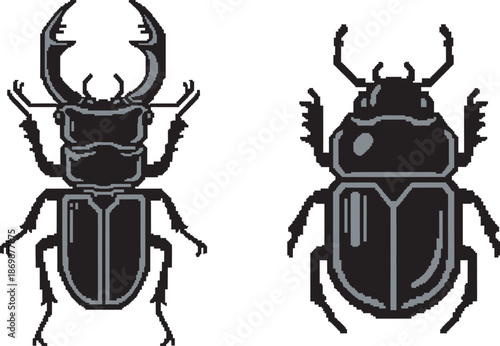 Stag beetle illustrations showing dorsal views of two specimens
