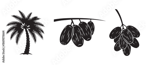 Date palm tree and bunches of fresh sweet dates fruit icons vector illustration graphics