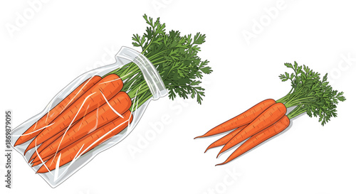 Fresh bright orange carrots with green tops inside a transparent plastic storage bag and another bunch of loose carrots.