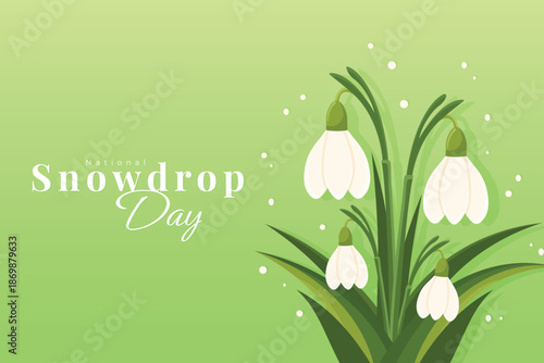 National snowdrop day poster with white flowers on green background vector illustration.