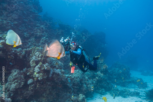 Wallpaper Mural Scuba diver with underwater camera photographing tropical reef fish near a coral wall in clear blue ocean water, showing marine life exploration, underwater photography and adventure diving. Torontodigital.ca