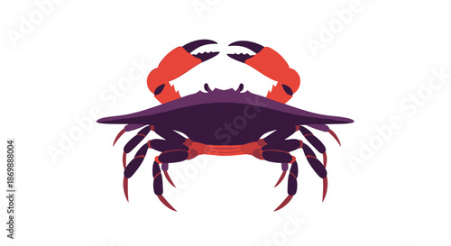 Symmetrical illustration of a purple and red crab with large claws, suitable for sea life, ocean, and seafood restaurant themes.