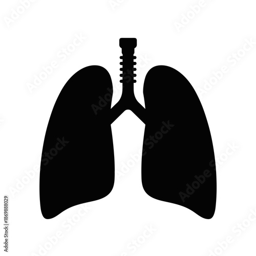 Human lungs silhouette vector illustration  
