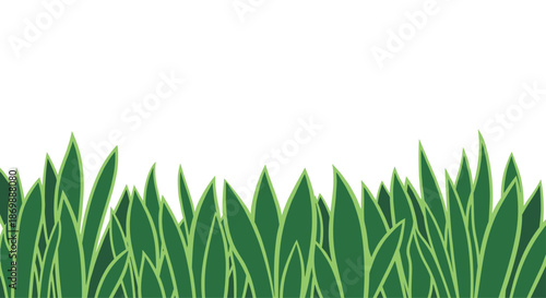 Illustration of long green blades of grass growing upwards against a clean white background for minimalist natural designs.