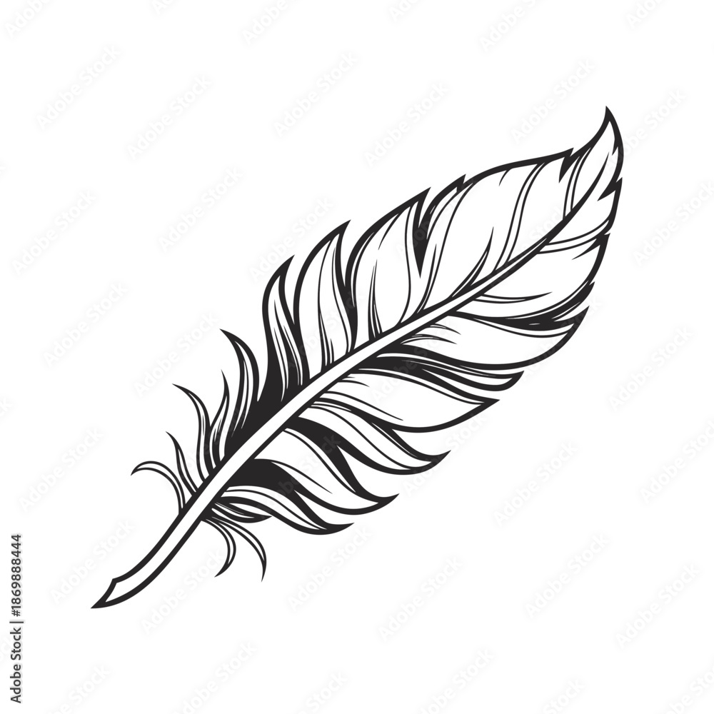 Fototapeta premium feather on white background