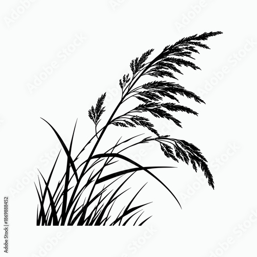 grass silhouette isolated on white