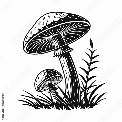 vector illustration of mushroom