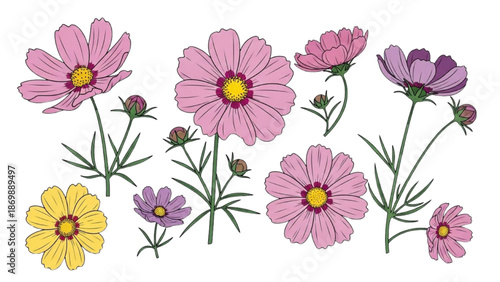A vibrant illustration of various flowers in bloom displayed against a white background