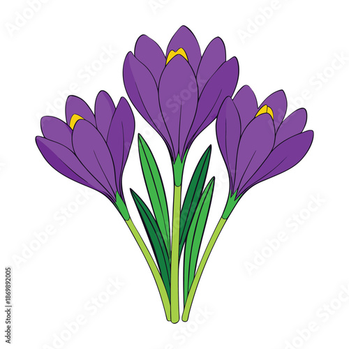 Vivid purple crocuses burst through spring soil, their delicate petals glowing in sunlight, bringing early-season cheer and a pop of color to gardens and meadows.
