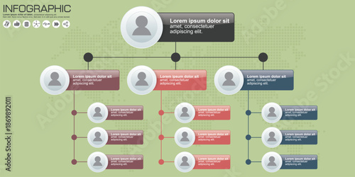 Organizational chart with multiple levels and branches