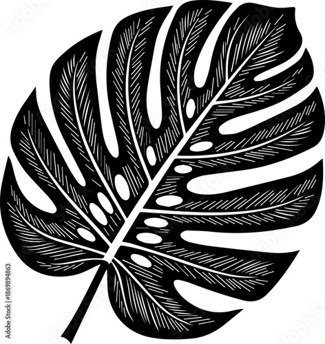 Stunning tropical monstera leaf illustration, elegant botanical design element for creative projects, brings a touch of nature and modern style to any design