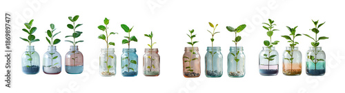 A collection of sprouting plants in various glass bottles showcasing growth stages on transparent background
