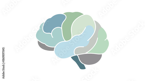 Abstract vector illustration of the human brain with distinct colored lobes, symbolizing complex thought, intelligence, memory, and neurological health