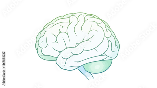 Clean vector illustration of the human brain, symbolizing intelligence, learning, and cognitive function, ideal for scientific, educational, and medical concepts and discussions