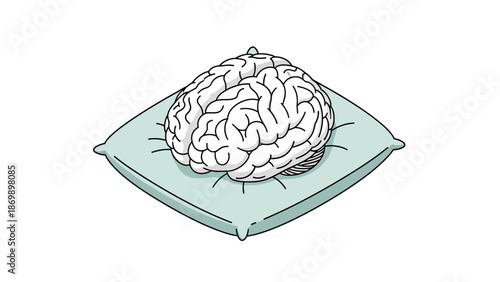 A human brain resting on a pillow, symbolizing mental well-being, cognitive rest, and relaxation for optimal thought processes and overall clarity