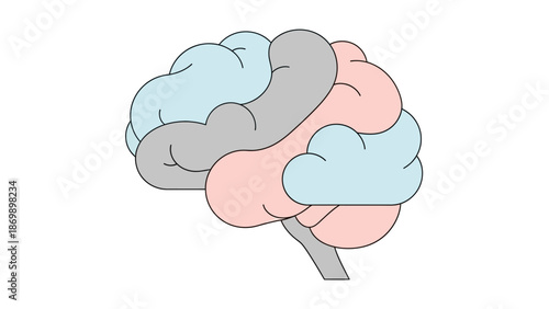 Modern vector graphic of the human brain, featuring segmented colored lobes, representing intelligence, thought, and cognitive functions for scientific and educational visuals