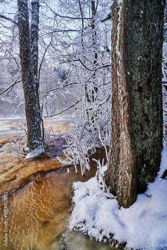 Flooding ice covered river in very cold winter day