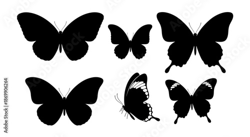 Black butterfly silhouettes