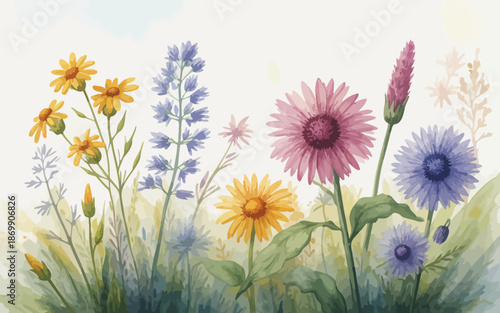 spring flowers in the grass