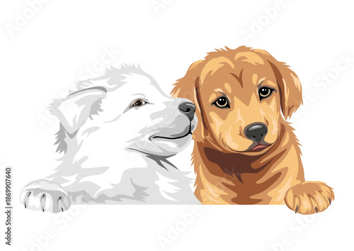 White Swiss Shepherd and Golden Retriever are best friends