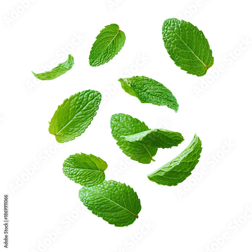 Scattered Mint Leaves in Mid- Air green fresh isolated on a transparent background