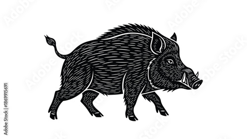 Detailed black and white engraving style illustration shows a wild boar walking across a plain white background.