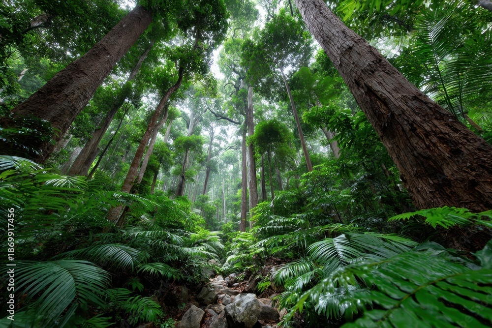 Fototapeta premium Lush green rainforest with towering trees and ferns
