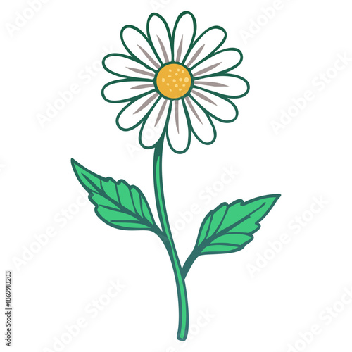 White Daisy Chamomile Flower with Green Stem and Leaves Simple Vector Illustration