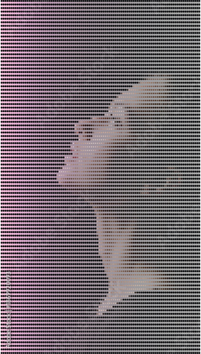 Abstract Portrait Distortion Digital Glitch Art Effect