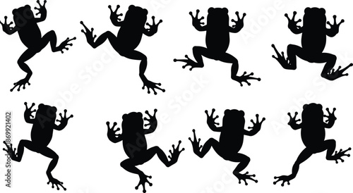  Black frog silhouette collection with tree frogs jumping and climbing in various poses isolated on white background for tropical nature design.