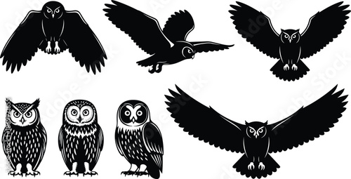  Collection of black owl silhouettes, flying and perched nocturnal bird icons, wild forest animal vector graphics for nature design elements, isolated