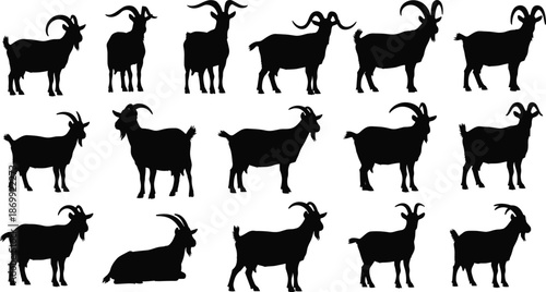  Set of black goat silhouettes, domestic farm animal icons, mountain goat livestock graphics for agriculture design elements, isolated on white background