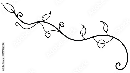 Elegant black and white vector illustration featuring a stylized, curving vine motif adorned with simple, whimsical leaves and delicate scrolls.